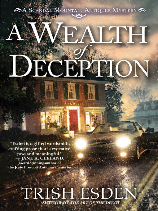 Title details for A Wealth of Deception by Trish Esden - Available